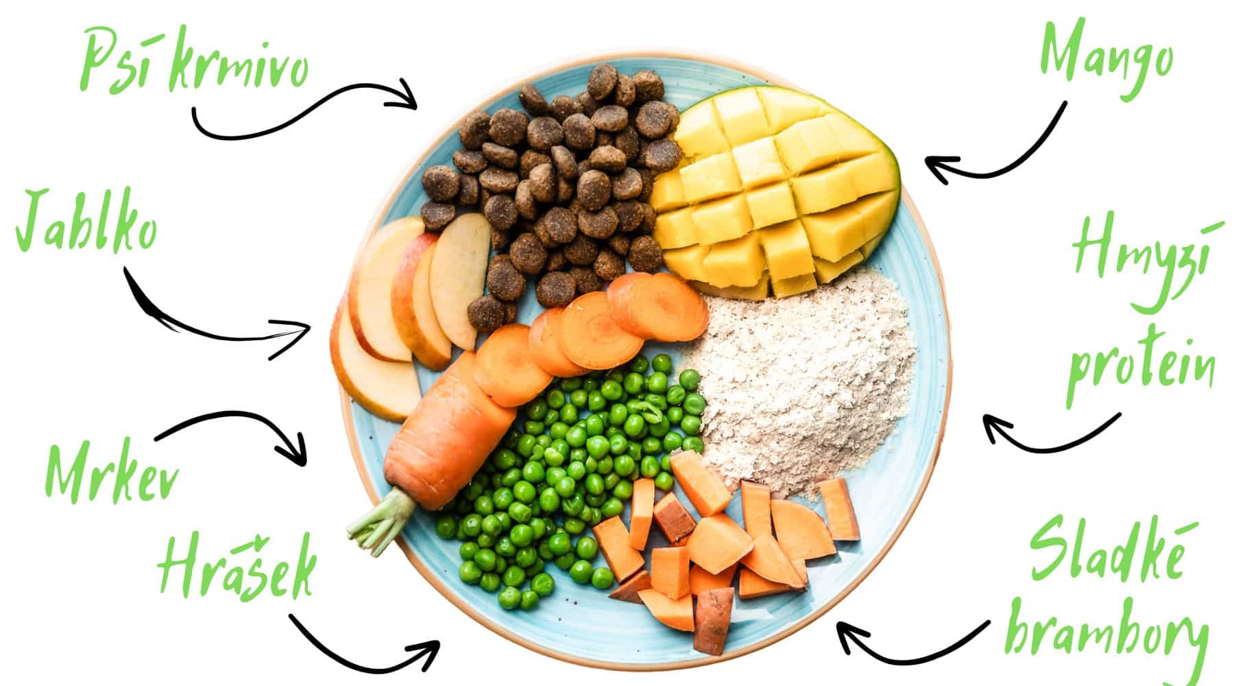 THR - CZ fotografie ingrediencí