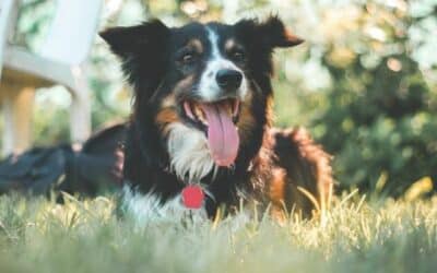 Tipy na letní péči: Holit či neholit?