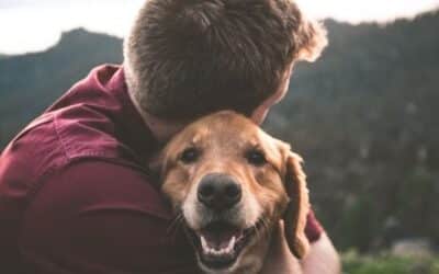 Vědec říká, že psi nenávidí objetí. Mýlí se. Zde je důvod proč.