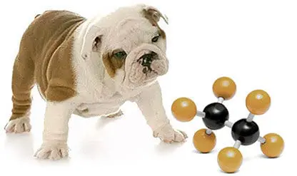 totw-dog-food-nutrient2