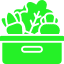 vegetable