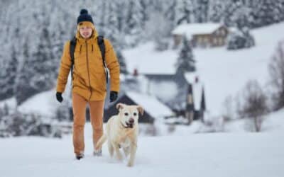 Dokonalá Zimní Procházka se Psem: Jak se Připravit?