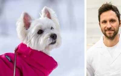 Mám 13letého West Highland teriéra, kterému jsme dávali syrovou barf stravu. Teď jsme začali s psím krmivem, ale psovi se objevila vyrážka. Co mám dělat?