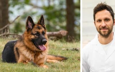 Můj 12letý německý ovčák někdy jí své vlastní výkaly hned po vyprázdnění. Co mám dělat?