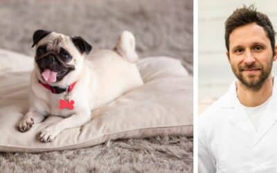 Můj pes má řídkou stolici už 3 měsíce, jí psí krmivo a škrábe se na předních nohách. Co mám dělat?