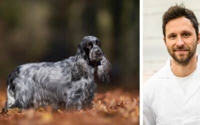 Můj štěně velmi rychle spolkne jídlo. Skoro bez žvýkání polyká svou večeři. Co mohu udělat?