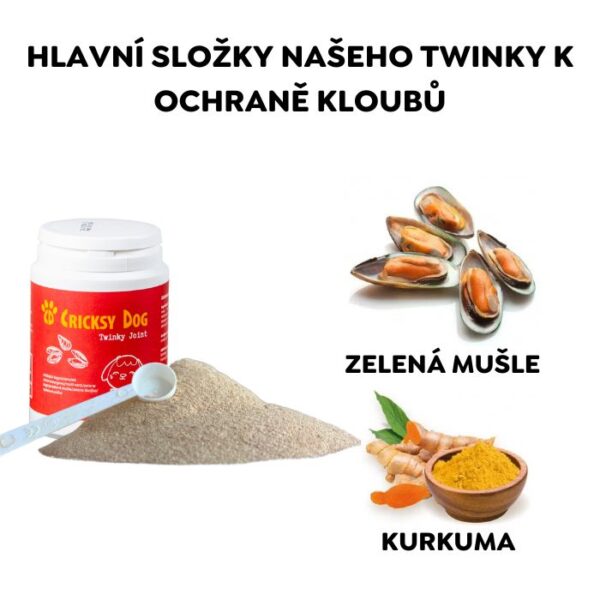 Twinky kloubní prášek s extraktem ze slávek zelenoústých (s odměrkou) – 150 g - Image 2