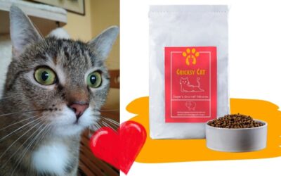 Jehněčí Delikatesa: Gryzčina Recenze