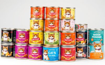 Konzerva pro kočky – Vše, co potřebuješ vědět!