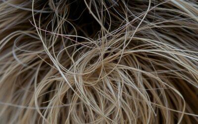 Problém s trichobezoáry u koček – Vše, co potřebuješ vědět!