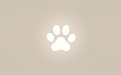 Psí budování značky – Vše, co o tom potřebuješ vědět!