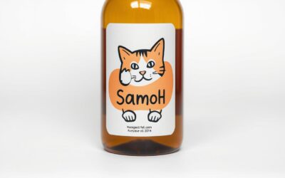 Šampon pro kočky – Vše, co potřebuješ vědět!