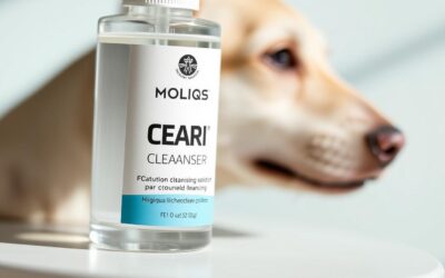 Čistič uší pro psy – Vše, co potřebuješ vědět!