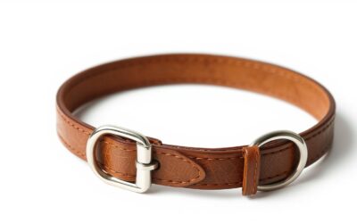 Obojek pro psy – Vše, co potřebuješ vědět!