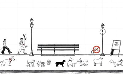 Předpisy o psech na veřejných místech – Vše, co o tom musíš vědět!