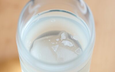 Šampon pro psy – Vše, co potřebuješ vědět!