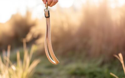 Výcvikové vodítko pro psy – Vše, co o tom musíš vědět!