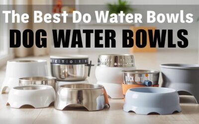 Napáječky pro psy – Vše, co o tom potřebuješ vědět!