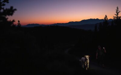 Večerní túry se psem – Vše, co o tom musíš vědět!