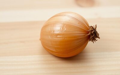 Může můj pes jíst cibuli? – Všechno, co o tom musíš vědět!