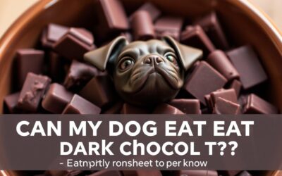 Může můj pes jíst hořkou čokoládu? – Všechno, co o tom musíš vědět!