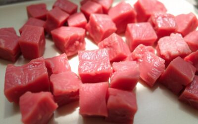 Může můj pes jíst hovězí maso? – Všechno, co o tom musíš vědět!