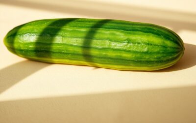 Může můj pes jíst okurku? – Všechno, co o tom musíš vědět!