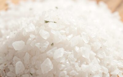 Může můj pes jíst sůl? – Všechno, co o tom musíš vědět!