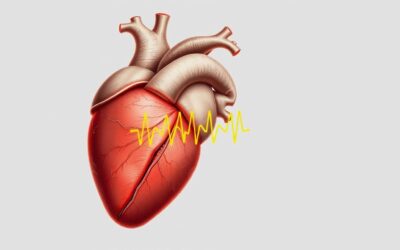 Online magazín CricksyDog 23 Arytmie u psů – Vše, co o tom potřebujete vědět!