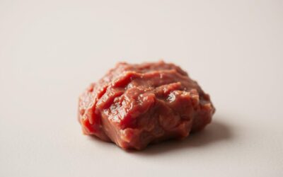 Kočičí blog 22 Může moje kočka jíst hovězí maso? – Vše, co byste měli vědět!