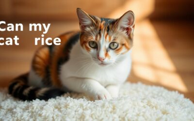Může moje kočka jíst rýži? – Vše, co byste měli vědět!