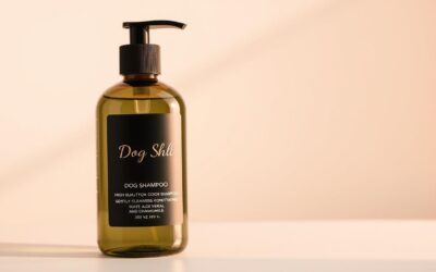 Jak vybrat šampon pro psa s problémy se srstí?