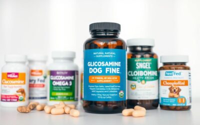 Online magazín CricksyDog 16 Typy kloubních doplňků pro psy a jak fungují