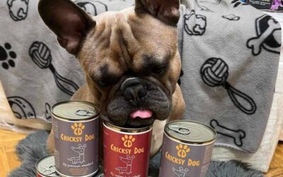 Účinek Denty Mini na zubní kámen – recenze majitelů