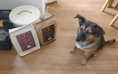 Recenze krmiva Juliet od majitelů malých psů