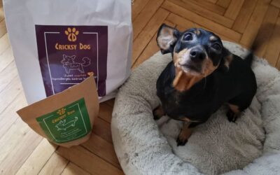 CricksyDog krmivo dlouhodobě – zkušenosti zákazníků po 6+ měsících