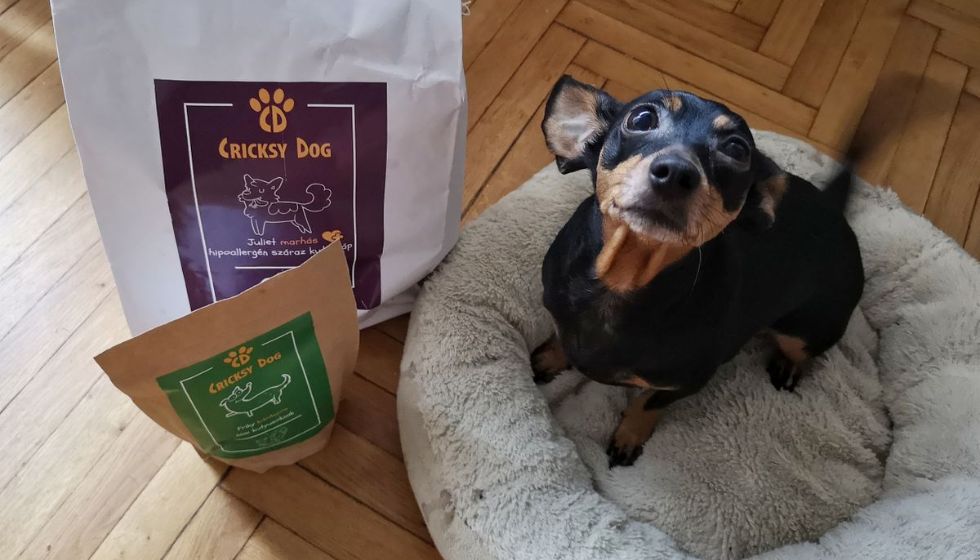 CricksyDog krmivo dlouhodobě – zkušenosti zákazníků po 6+ měsících