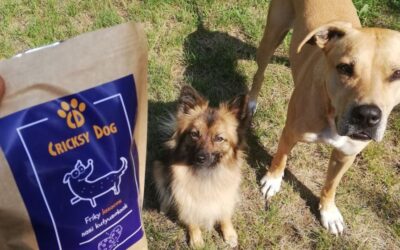 Online magazín CricksyDog 17 Juliet krmivo a nižší náklady u veterináře – zkušenosti