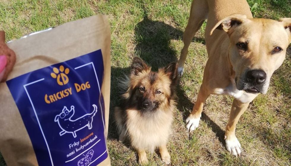 Juliet krmivo a nižší náklady u veterináře – zkušenosti