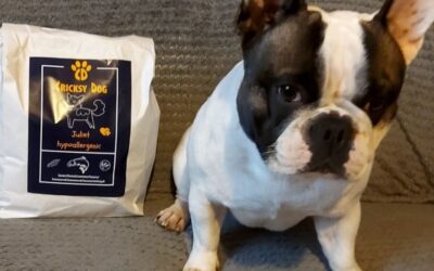 Online magazín CricksyDog 19 První objednávka od CricksyDog – co může páníček očekávat?