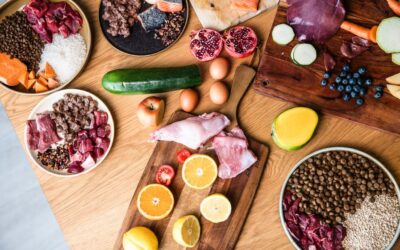 Recenze krmiva Chucky od majitelů štěňat