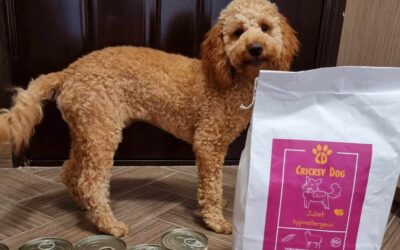 Twinky kloubové tablety dostupné v našem eshopu