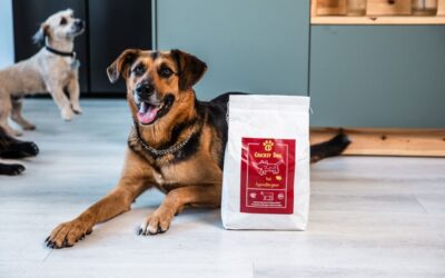 Co jsem dostal jako dárek k objednávce CricksyDog krmiva?