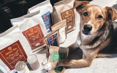 Online magazín CricksyDog 23 Šampon Chloé a úleva od svědění