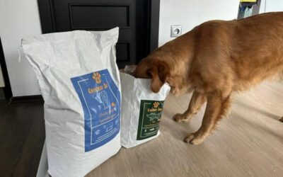 Doprava zdarma na všechny CricksyDog produkty bez ohledu na množství