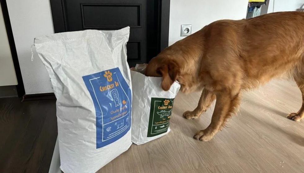 Doprava zdarma na všechny CricksyDog produkty bez ohledu na množství