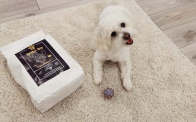 Juliet balení 1 kg pro malé psy – k dispozici k objednání