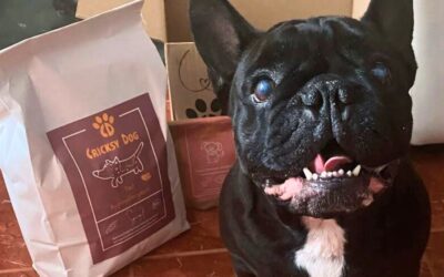 CricksyDog krmivo s doručením domů – jak to funguje