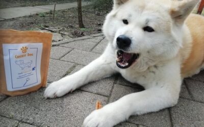 Co říkají stálí zákazníci na balení CricksyDog krmiv?