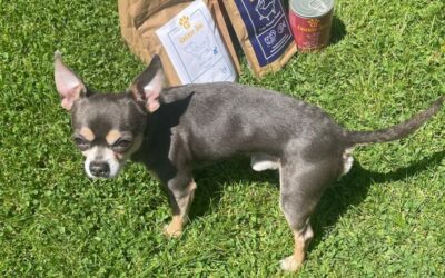 Krmivo Juliet pomohlo s ušním zánětem – názor zákazníka